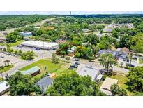 An aerial view of the property shows a home surrounded by lush greenery and a red outline emphasizing the property boundaries at 201 W Washington St, Minneola, FL 34715