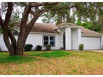 Charming one-story home with mature trees, a two car garage, and well-maintained landscaping at 548 Glen Haven Dr, Deltona, FL 32738