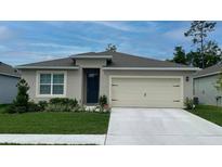 Charming single-story home with a well-manicured lawn, two car garage, and neutral exterior paint at 955 Princess Sabal Pt, Haines City, FL 33844