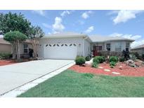 Charming single-story home featuring a well-maintained front yard and a two-car garage at 10075 Sw 91St Pl, Ocala, FL 34481