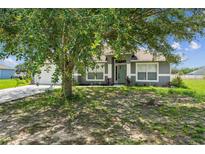 Charming home with mature tree in the front yard providing shade and curb appeal at 117 Sanderling Dr, Haines City, FL 33844