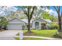 Charming single-story home with a well-manicured lawn and inviting curb appeal at 1800 Silver Valley Ct, Apopka, FL 32712