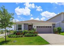 Beautiful single-story home featuring a two-car garage and well-manicured front yard with fresh landscaping at 1132 Sugarwood St, Davenport, FL 33837