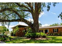 Charming brick home exterior with a large mature tree offering plenty of shade and curb appeal at 7 Westchester Dr, Kissimmee, FL 34744