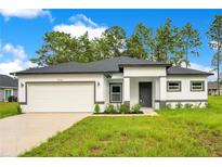 Charming single-story home featuring a two-car garage, modern design, and well-manicured lawn at 13525 Se 100Th Ave, Belleview, FL 34420