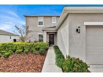 Front entrance to the two-story home with mulch beds, small plants and a walkway at 356 Quarry Rock Cir, Kissimmee, FL 34758