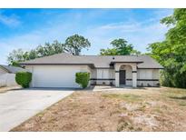 Charming single-story home showcasing a manicured lawn and inviting front entrance at 1617 Hallcrest Dr, Deltona, FL 32725