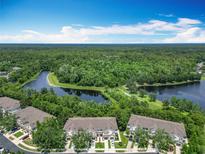 Scenic aerial view of townhomes overlooking a lush forest and a beautiful lake at 1757 Sunset Palm Dr, Apopka, FL 32712