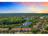 Scenic aerial view of townhomes nestled among lush greenery and a serene lake at sunset at 1757 Sunset Palm Dr, Apopka, FL 32712