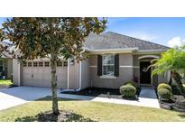 Charming single-story home featuring a well-manicured lawn, a two-car garage, and lovely landscaping at 30245 Cheval St, Mount Dora, FL 32757