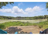 Beautiful lake view with lily pads, trees, and a wooden dock featuring patio chairs at 2028 Lake Christie Dr, Orlando, FL 32809