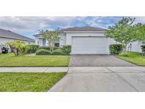 Charming single-story home boasts a well-manicured lawn and a spacious two-car garage at 14325 Hidden Ct, Clermont, FL 34711