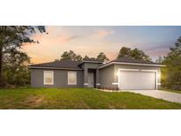 Charming single-story home with gray exterior, well-kept lawn, and two-car garage at 16904 Sw 30Th Avenue Rd, Ocala, FL 34473