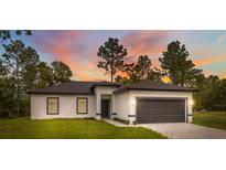 Charming single-story home with a well-maintained lawn and a two-car garage at 6062 Sw 154Th Pl, Ocala, FL 34473