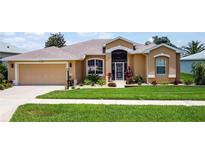 Charming single-story home featuring a well-maintained lawn, decorative landscaping, and a two-car garage at 27143 Nostalgia Dr, Leesburg, FL 34748