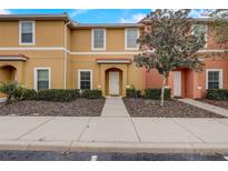 Charming townhome with a colorful exterior, well-maintained landscaping, and inviting front entrance at 3019 White Orchid Rd, Kissimmee, FL 34747