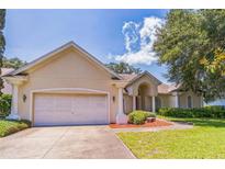 Charming single-story home with a well-manicured lawn and a two-car garage, perfect for suburban living at 34239 Woodridge Ln, Eustis, FL 32736