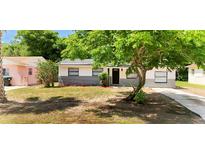 Charming single-story home with fresh exterior paint, landscaped front yard, and mature tree at 3397 Janet St, Apopka, FL 32712