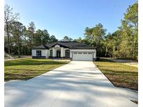 Stunning single Gathering home featuring a wide driveway and a two-car garage at 13619 Sw 78Th Place, Dunnellon, FL 34432