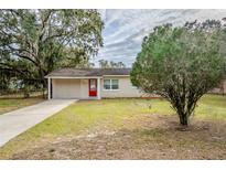 Single-story home showcasing a well-manicured lawn and mature trees at 2311 Olivet Ave, Leesburg, FL 34748