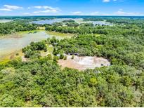 Stunning aerial view showcases the property surrounded by lush green trees and a serene lake at 4055 State Road 11, Deland, FL 32724