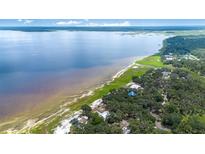 Breathtaking aerial view of lakefront homes nestled among lush greenery and scenic shoreline at 2518 Fort Lane Rd, Geneva, FL 32732