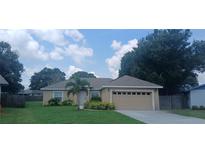 Charming single-story home with a well-maintained lawn, a two car garage, and lovely curb appeal at 439 Lake Daisy Dr, Winter Haven, FL 33884
