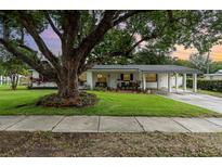 Charming single-story home featuring a lush green lawn and mature tree offering shade and curb appeal at 4111 Dublin St, Orlando, FL 32812