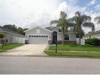 Beautiful single-story home with a two-car garage, front lawn and tropical landscaping at 2451 Strandhill St, Orlando, FL 32824