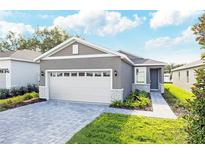Beautiful single-story home showcasing a neutral color scheme, a two-car garage, and manicured landscaping at 9112 Wildlight Trl, Wildwood, FL 34785