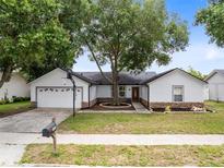 Charming single-story home with a basketball hoop, mature tree, and well-maintained front yard at 1046 Seminole Creek Dr, Oviedo, FL 32765