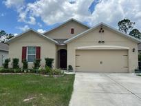 Charming single-story home with a well-maintained lawn, an attached two-car garage and colorful landscaping at 316 Tanglewood Dr, Davenport, FL 33896