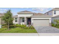 Charming single-story home featuring a two-car garage, well-manicured lawn, and inviting front entrance at 2292 Sirena Ln, Mount Dora, FL 32757