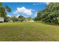 Expansive grassy lot with mature trees and blue skies, perfect for building or recreation at 9329 7Th Ave, Orlando, FL 32824