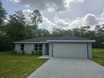 Beautiful single-story home with a two-car garage, green lawn, and well-maintained landscaping at 4325 Sw 157Th Ter, Ocala, FL 34481