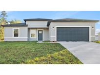 Charming single-story home with modern design, manicured lawn, and attached two-car garage at 178 Marion Oaks Ln, Ocala, FL 34473