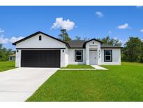 Charming single-story home boasts a black-on-white color scheme and neatly manicured lawn at 313 Bass Ct, Kissimmee, FL 34759