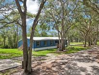 Charming blue single-story home with a metal roof surrounded by mature trees and a well-maintained lawn at 1235 Arapaho Trl, Geneva, FL 32732