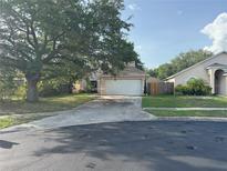 Charming single-Gathering home featuring a well-maintained lawn, large tree, and a two-car garage at 1133 Olympic Ct, Apopka, FL 32712