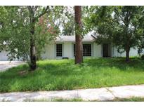 View of single story home with double paned windows and overgrown yard at 305 E Orange St, Altamonte Springs, FL 32701