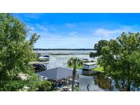 Scenic lake view featuring boat docks and lush greenery under a bright blue sky at 65 Oakdale St, Windermere, FL 34786