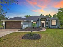 Charming home features a modern exterior with manicured lawn and a wood-look garage door at 13735 Sw 73Rd St, Ocala, FL 34481
