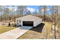 Charming new construction home featuring a concrete driveway and attached two-car garage at 1720 Sw Big Tree Rd, Dunnellon, FL 34431