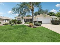 Well-maintained front yard with lush green grass, mature palm tree, and charming landscaping at 17097 Se 96Th Chapelwood Cir, The Villages, FL 32162