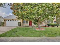Charming single-story home featuring a red front door and a large tree providing shade in the front yard at 14063 Ithaca Way, Orlando, FL 32826