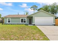 Charming single story home featuring a well-manicured lawn and a two-car garage at 705 Ibis Ave, Deltona, FL 32738