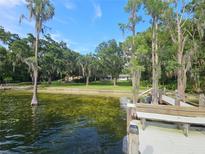 View from the dock with lush trees and a well-maintained lawn reaching to a charming home at 606 Butler St, Windermere, FL 34786