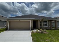 Charming single-story home with a two-car garage and well-maintained landscaping at 3891 Sagefield Dr, Harmony, FL 34773