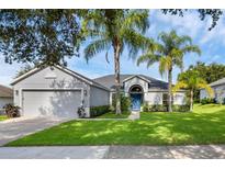 Charming single-story home with a well-manicured lawn and lush palm trees at 189 Blackstone Creek Rd, Groveland, FL 34736