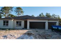 New construction home featuring a modern design, a two-car garage and neutral color palette at 7815 Sw 128Th St Rd, Ocala, FL 34473
